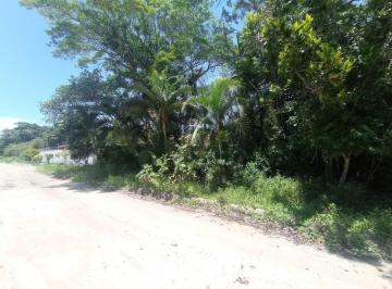 20240109150406741.jpg · Terreno para Venda em Itanhaém, São Fernando