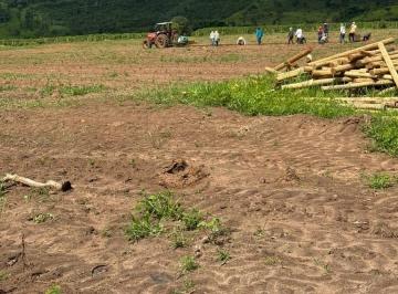 Rural de 2 quartos, São Sebastião do Paraíso · Sítio 52 mil pés café mecanizados