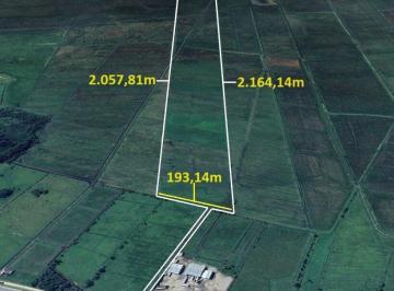 Terreno · 376393m² · Terreno em Tijucas - Oportunidade Única