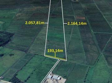 Terreno · 376393m² · Terreno em Tijucas - Oportunidade Única