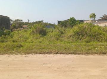 202408231537571622.jpg · Terreno para Venda em Itanhaém, Santa Julia