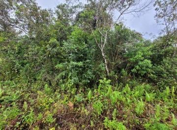 20241114152045330.jpg · Terreno para Venda em Itanhaém, Coronel