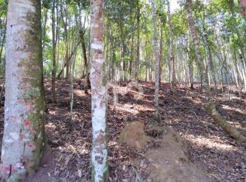Terreno · 4625m² · Terreno - Fazenda Boa Fé Teresópolis RJ