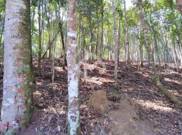 Terreno · 4625m² · Terreno - Fazenda Boa Fé - Teresópolis RJ