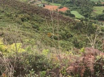 202508271241295662.jpg · Terreno para Venda em Nova Friburgo, Centro