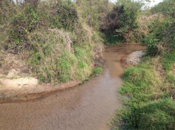 Rural , Artur Nogueira · Sítio á Venda, 20.000 m ² com Água em Artur Nogueira por R$ 320.000