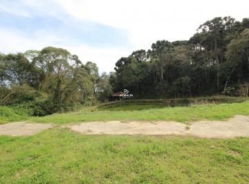 Chácara em São José dos Pinhais - Colônia Murici (CH02779) · Chácara com 21.000m² na Murici
