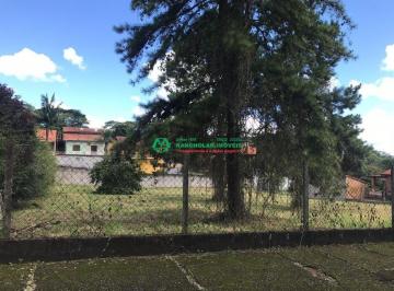 5826_id3z0s_582665f33b5543195.jpg · Terreno à venda - em Monte Catine