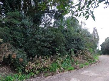 705451_iw2d12f6sY8V_70545168014114d8ee8.jpg · Terreno no Bairro Vila são Bernardo em São Francisco de Paula