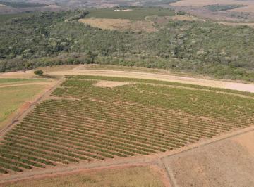 Foto 01 · FAZENDA COM CAFÉ NA REGIÃO DE SANTA LUZIA DOS BARROS