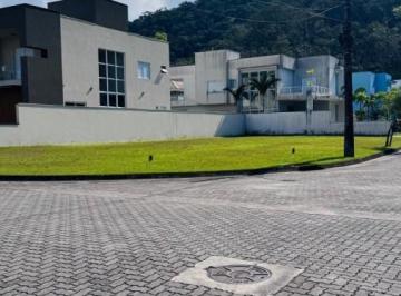 202509161044262301.jpg · Terreno para Venda, Massaguaçu