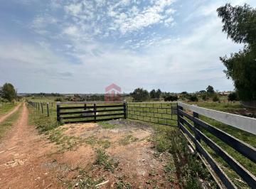 Foto 03 · Chácara à venda em Umuarama-PR, no bairro Estrada Jaborandi, com 20.000 m² de área!