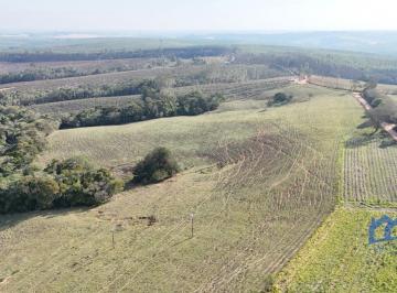 Foto 01 · Sítio/Fazenda à Venda, 24,72 alqueires por R$ 4.200.000 Cód. ch2459