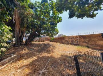 Terreno · 300m² · Terreno misto para Locação e Venda no Bairro Jardim São Luiz, em Ribeirão Preto.