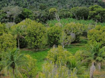 Rural · 52ha · 2 Quartos · Fazenda em Jequiriçá, Valença/BA