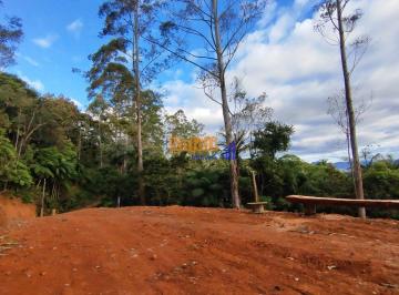 fca6fvm2odgwntdmmzk0yzuw_md · Terreno em Aguas mornas com nascente e luz ligada. natureza e intermet