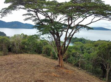 Terreno · 4023m² · Terreno de Condomínio, Praia do Pulso, Ubatuba - R$ 4 mi, Cod: 2741