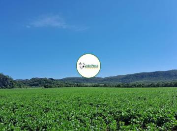 Rural , Unaí · Fazenda a venda em Unaí-MG - 70 HA - Dupla aptidão - Área toda aberta