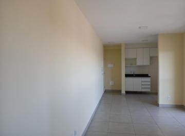 PIC_20260725_060304_000.jpeg · Elegante apartamento para venda em Vila Basileia com 1 quarto, 45m² - niezete-gomes1#H9CVL