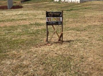 Terreno · 1300m² · VENDA | Terreno,  em Centro, Iguaraçu