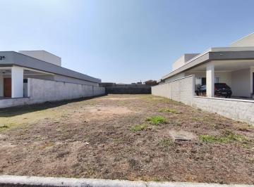 whatsapp-image-2025-08-27-at-07-56-451758054569819.jpeg · Terreno à venda, Residencial e Comercial Vila Verde, Pindamonhangaba, SP