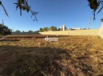Terreno · 330m² · Terreno disponível para venda no bairro Novo Mundo em Uberlândia-MG.