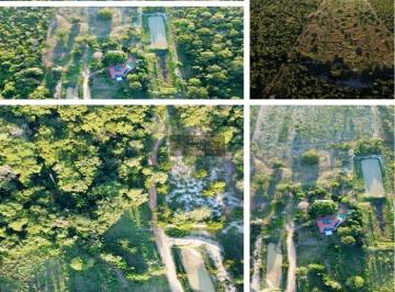 Rural · 19ha · 6 Quartos · 10 Vagas · Chácara em Santo Antonio do Leverger