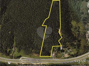 Terreno · 63202m² · Área de Terra à venda em Itaquaciara - SP