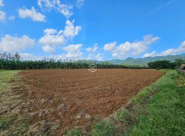 Foto 01 · Chacara, Bracinho, Schroeder, SC
