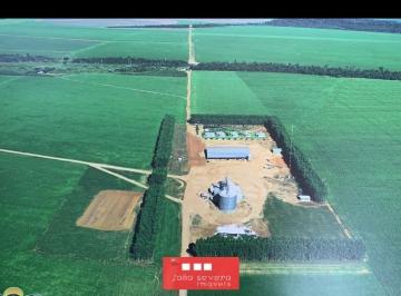 202509181443355797.jpg · Fazenda para Venda em Nova Ubiratã