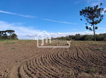 Rural · 49000m² · Chácara para venda no Bairro Guajuvira - em Araucária/PR