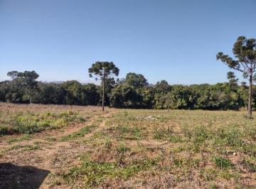 Terreno · 29000m² · Área Industrial à Venda em Itupeva: 29.000m² Estratégicos