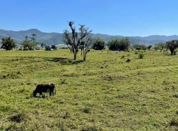 Terreno · 27077750m² · Terreno à venda em Gaspar/SC