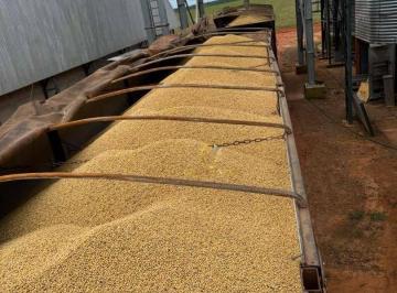 3da7a13961d05ae63223624f08b52a2f468402d0 · Fazenda espetacular  13.800 Hectares a venda na região do Xingu MT!