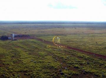 14f8456cac7fdae12510597fcb404ceb7e97f495 · Fazenda pecuária e agricultura 55.000 hectares a venda no Mato Grosso!