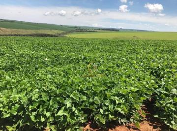 5d093181407ff6d804b0cda45b61aff574a13b55 · FAZENDA DE CAFÉ 5.060 HA A VENDA NO TRIÂNGULO MINEIRO MINAS GERAIS!