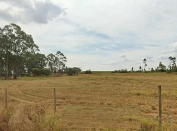 Rural , Santa Rosa de Viterbo · Gleba de terras na Fazenda Ipê III área 26,2095 ha - Santa Rosa de Viterbo/SP