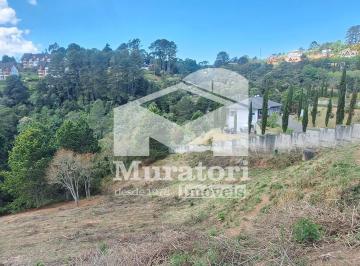 Terreno · 2500m² · Lotes à venda