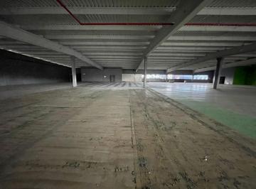 202509191425491006.jpg · Laje Corporativa para Locação em Palhoça, Jardim Eldorado, 11 banheiros, 99 vagas
