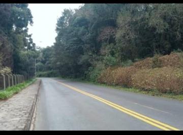 Terreno , Campo Largo · Terreno a venda no bairro Ferraria - Campo Largo Paraná