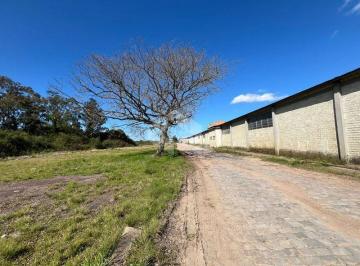 Comercial · 800m² · 10 Vagas · Pavilhão 800M² - para Alugar