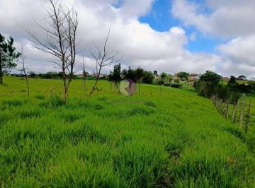 Terreno · 700000m² · Terreno à Venda na Vila Ipelândia, Palmeiras – Suzano/Sp