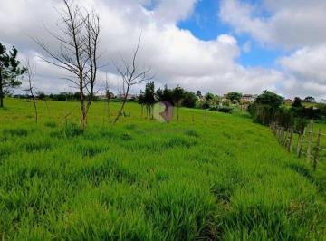 Terreno · 70000m² · Terreno à Venda na Vila Ipelândia, Palmeiras – Suzano/Sp