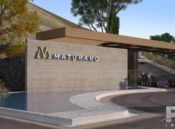 Terreno · 14000m² · Terreno em Venda Nova, Teresópolis/RJ de 14000m² à venda por R$ 1.592.400,00