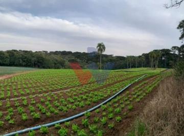Terreno · 21000m² · Terreno em Umbará, Curitiba/PR de 21000m² à venda por R$ 4.990.000,00