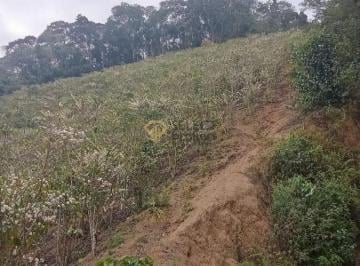 d8853a449e8e696bf85fe9475f24613f · Terreno, Centro - Pancas