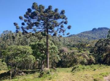 184aaf72930295c8fc1a2c8a3856dc40bb0e2198 · Área à venda, 21000 m² por R$ 1.200.000,00 - Baú - São Bento do Sapucaí/SP