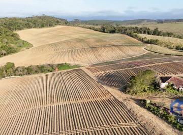 Foto 01 · Sítio/Fazenda à Venda, 50 alqueires por R$ 12.000.000 Cód. ch2464