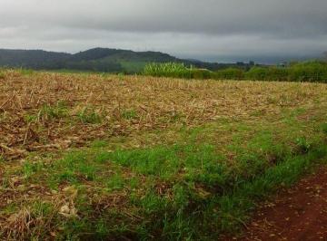 Comercial 48400m² Venda · VENDE-SE FÁBRICA DE COSMÉTICOS NATURAIS NO PARANÁ!!