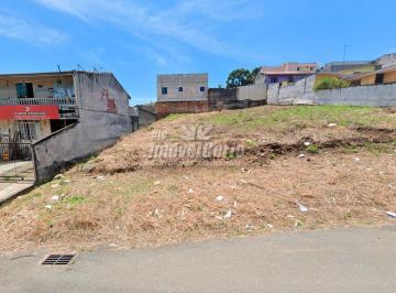 Terreno · 360m² · Terreno ZR2 com 360 m² na Rua Frederico Peter no P